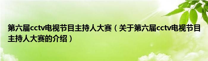 第六屆cctv電視節(jié)目主持人大賽（關(guān)于第六屆cctv電視節(jié)目主持人大賽的介紹）