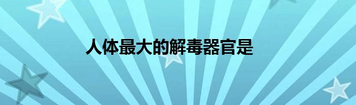 人體最大的解毒器官是