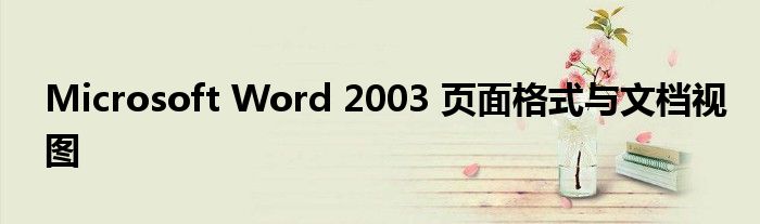 Microsoft Word 2003 頁(yè)面格式與文檔視圖
