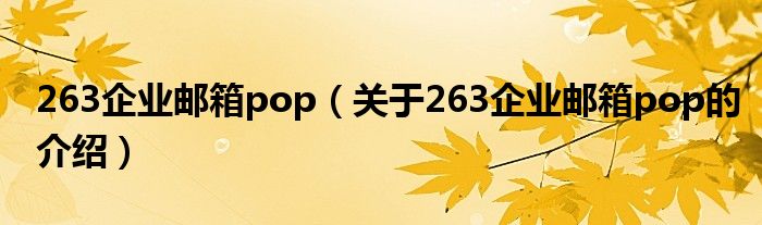 263企業(yè)郵箱pop（關(guān)于263企業(yè)郵箱pop的介紹）