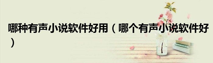 哪種有聲小說軟件好用（哪個有聲小說軟件好）