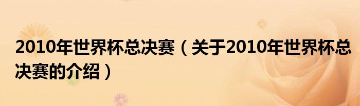 2010年世界杯總決賽（關(guān)于2010年世界杯總決賽的介紹）
