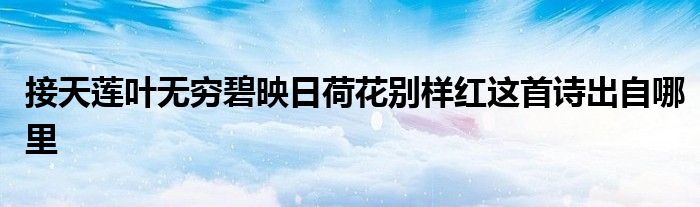 接天蓮葉無窮碧映日荷花別樣紅這首詩出自哪里