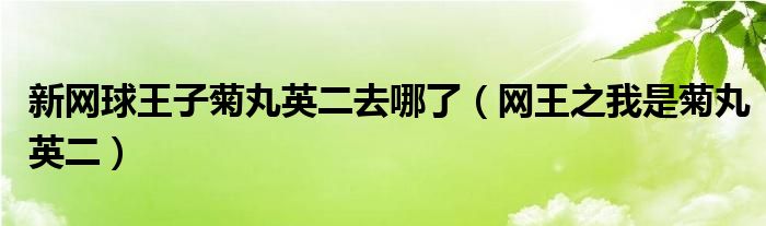新網(wǎng)球王子菊丸英二去哪了（網(wǎng)王之我是菊丸英二）