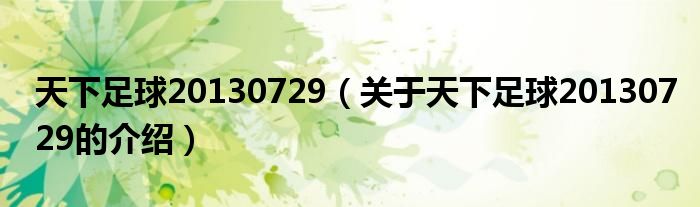 天下足球20130729（關(guān)于天下足球20130729的介紹）