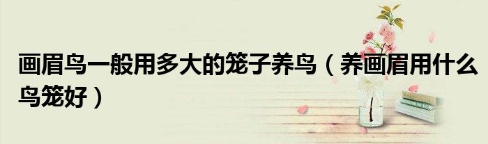 畫眉鳥一般用多大的籠子養(yǎng)鳥（養(yǎng)畫眉用什么鳥籠好）