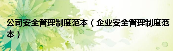 公司安全管理制度范本（企業(yè)安全管理制度范本）