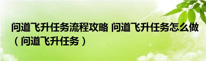 問道飛升任務(wù)流程攻略 問道飛升任務(wù)怎么做（問道飛升任務(wù)）