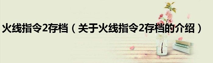 火線指令2存檔（關(guān)于火線指令2存檔的介紹）