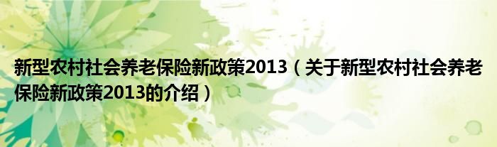 新型農(nóng)村社會養(yǎng)老保險新政策2013（關于新型農(nóng)村社會養(yǎng)老保險新政策2013的介紹）