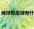 棒球和壘球有什么區(qū)別（壘球和棒球的區(qū)別）