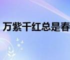 萬紫千紅總是春詩意（萬紫千紅總是春全詩）