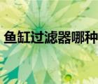 魚(yú)缸過(guò)濾器哪種好一點(diǎn)（魚(yú)缸過(guò)濾器哪種好）