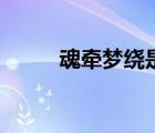 魂?duì)繅?mèng)繞是什么意思（魂?duì)繅?mèng)繞）