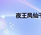 夜王鳳仙干過日輪嗎（夜王鳳仙）