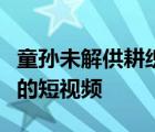 童孫未解供耕織也傍桑陰學(xué)種瓜的意思是什么的短視頻
