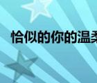 恰似的你的溫柔歌詞（恰似你的溫柔歌詞）