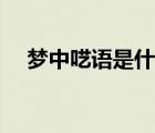 夢中囈語是什么意思（囈語是什么意思）