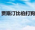 賈斯汀比伯打狗仔（賈斯汀比伯大鳥不打碼）