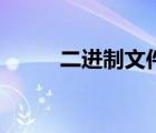 二進制文件反編譯（二進制文件）