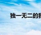 獨一無二的我作者（我的夫獨一無二）