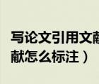 寫論文引用文獻怎么標注格式（寫論文引用文獻怎么標注）