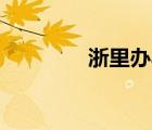 浙里辦app手機(jī)下載（浙l）