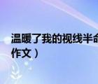 溫暖了我的視線半命題作文550字（溫暖了我的視線半命題作文）