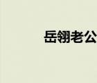 岳翎老公個人簡介（岳翎近況）