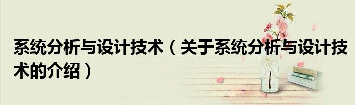 系統(tǒng)分析與設(shè)計(jì)技術(shù)（關(guān)于系統(tǒng)分析與設(shè)計(jì)技術(shù)的介紹）