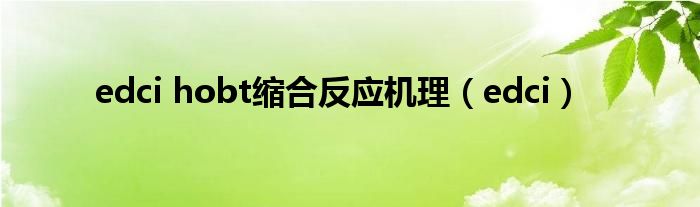 edci hobt縮合反應(yīng)機(jī)理（edci）