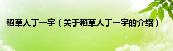 稻草人丁一宇（關(guān)于稻草人丁一宇的介紹）