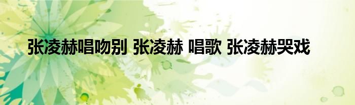 張凌赫唱吻別 張凌赫 唱歌 張凌赫哭戲