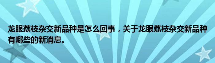 龍眼荔枝雜交新品種是怎么回事，關(guān)于龍眼荔枝雜交新品種有哪些的新消息。