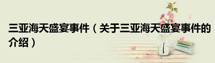 三亞海天盛宴事件（關(guān)于三亞海天盛宴事件的介紹）