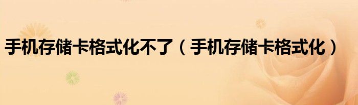 手機存儲卡格式化不了（手機存儲卡格式化）