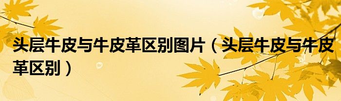 頭層牛皮與牛皮革區(qū)別圖片（頭層牛皮與牛皮革區(qū)別）