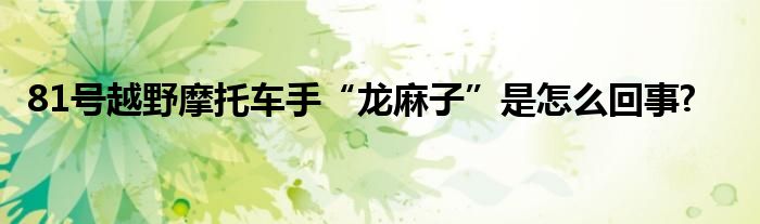 81號(hào)越野摩托車手“龍麻子”是怎么回事?
