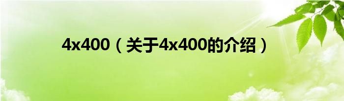 4x400（關(guān)于4x400的介紹）