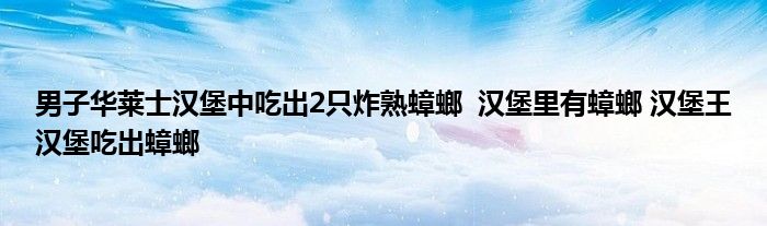 男子華萊士漢堡中吃出2只炸熟蟑螂 漢堡里有蟑螂 漢堡王漢堡吃出蟑螂