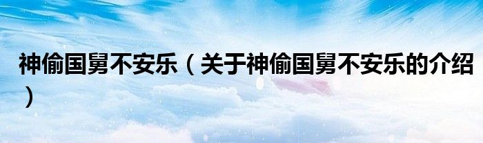 神偷國舅不安樂（關(guān)于神偷國舅不安樂的介紹）