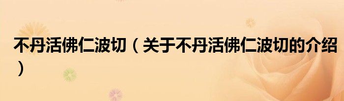 不丹活佛仁波切（關(guān)于不丹活佛仁波切的介紹）