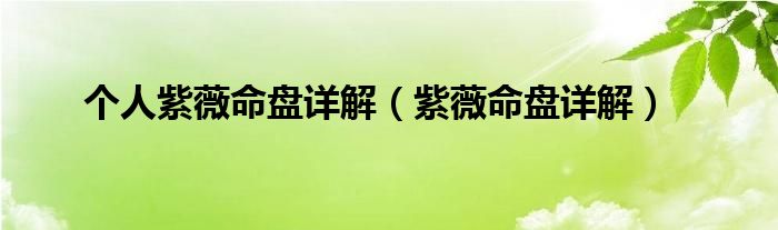 個(gè)人紫薇命盤(pán)詳解（紫薇命盤(pán)詳解）