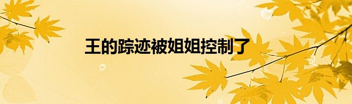 王的蹤跡被姐姐控制了