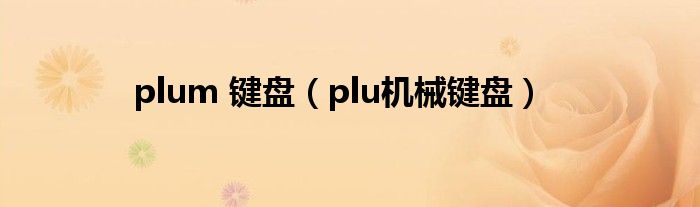 plum 鍵盤（plu機(jī)械鍵盤）
