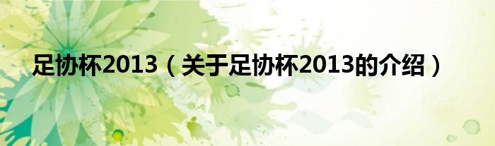 足協(xié)杯2013（關(guān)于足協(xié)杯2013的介紹）