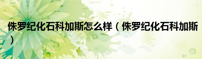侏羅紀(jì)化石科加斯怎么樣（侏羅紀(jì)化石科加斯）