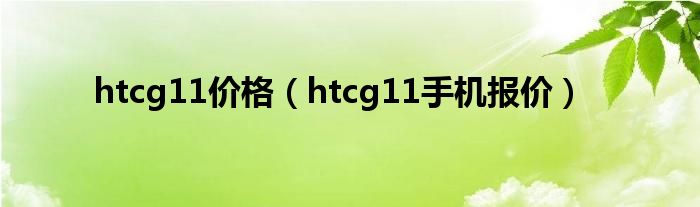 htcg11價格（htcg11手機(jī)報(bào)價）