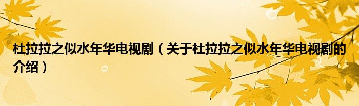 杜拉拉之似水年華電視?。P于杜拉拉之似水年華電視劇的介紹）