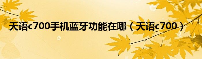 天語c700手機藍牙功能在哪（天語c700）